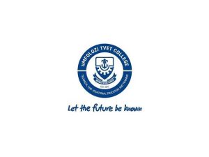 Buffalo-Weblink (25) (3)